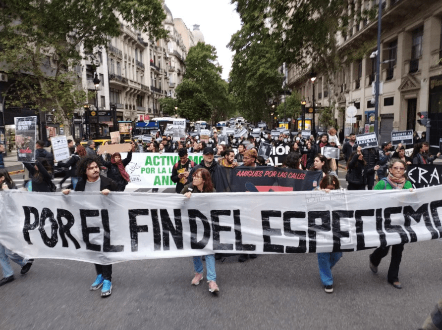 Progresismo, identidades y debacle